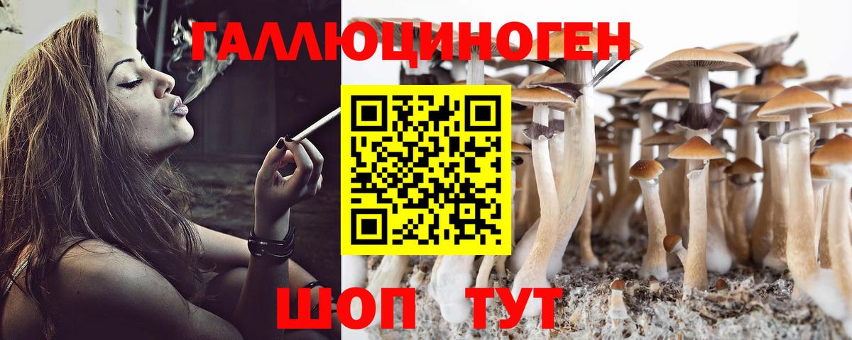 Псилоцибиновые грибы ЛСД  Вход с VPN  Кузнецк  купить наркотик  Псилоцибиновые грибы Cubensis 