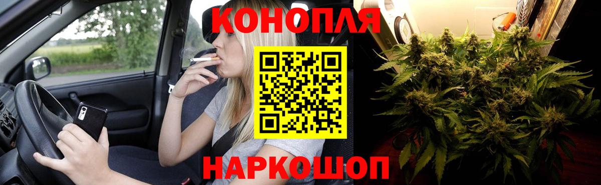 Канабис план  Бошки Шишки конопля  Вход с VPN  Кузнецк 